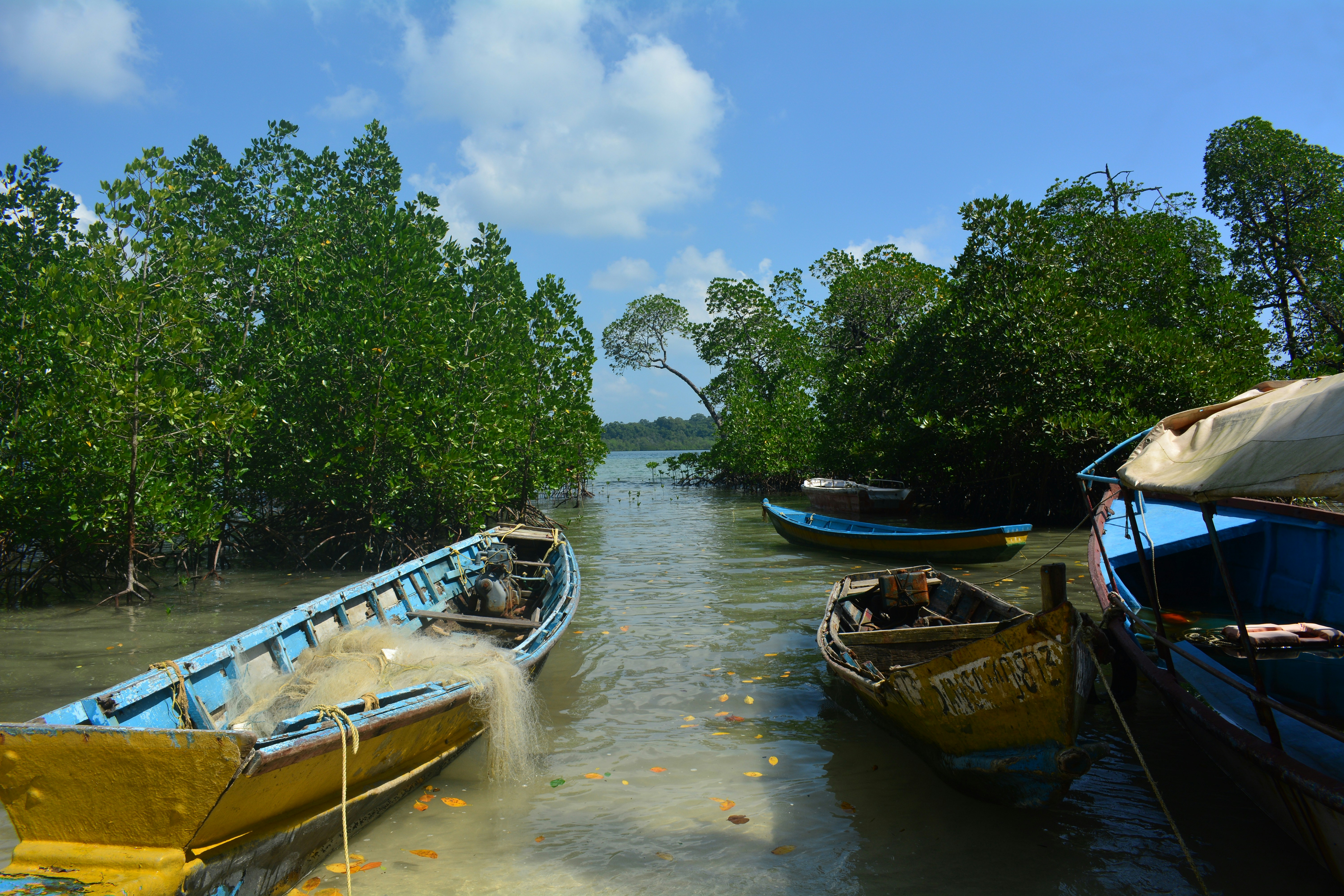 6 Days Andaman Sojourn With Neil Island