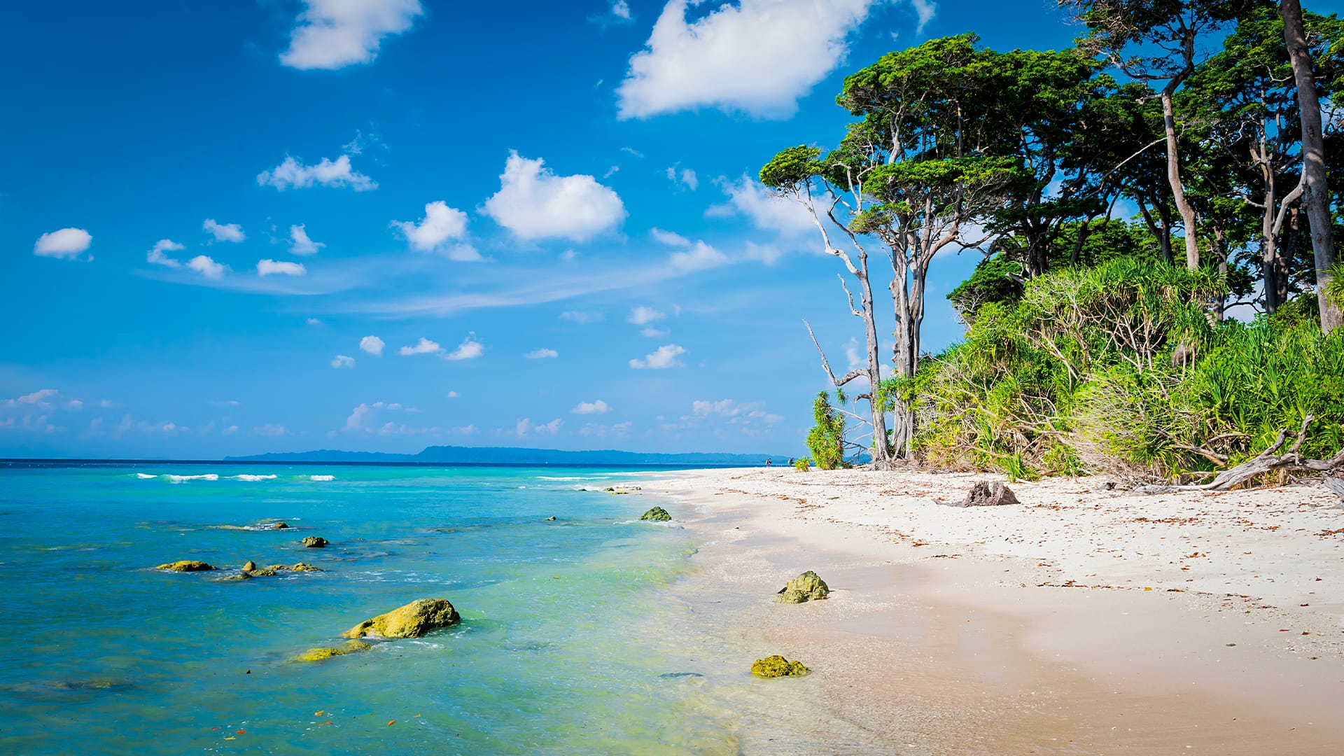 7 Days Andaman Island Getaway with Ross & North Bay Boat Tour