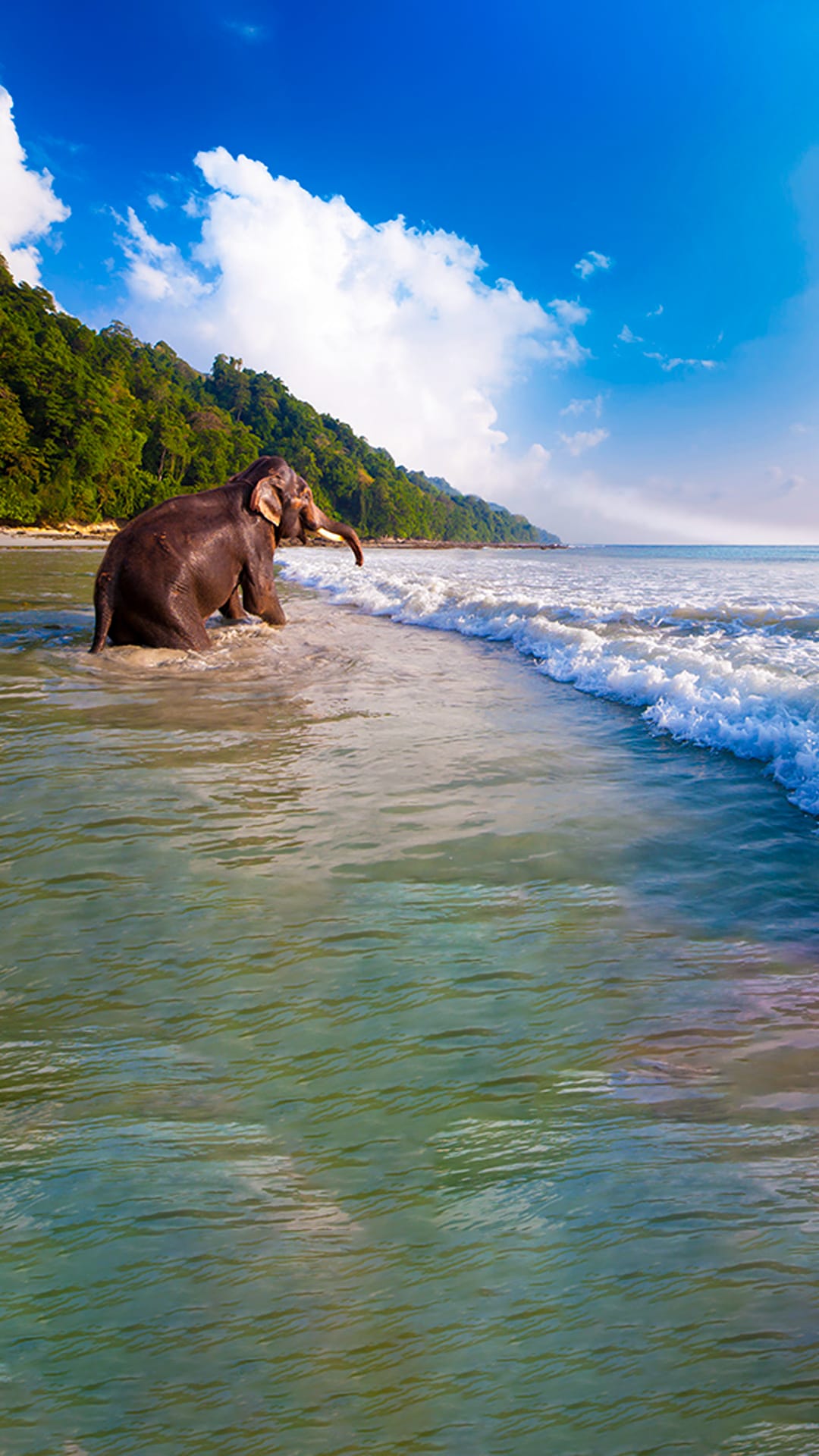 7 Days Andaman Tour Package with Havelock and Neil Islands