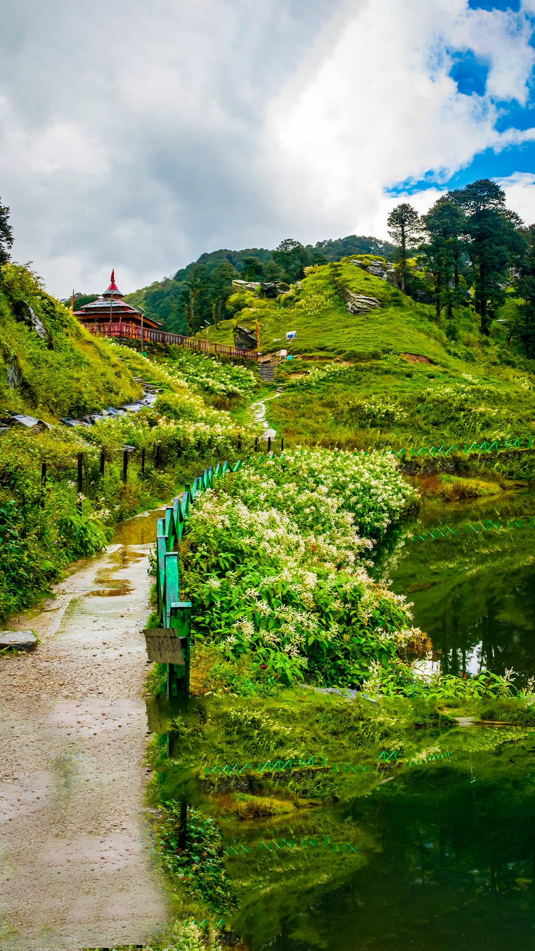 Delhi to Manali. Start your Trip