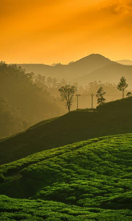 4 Days Best Kerala Tour Package