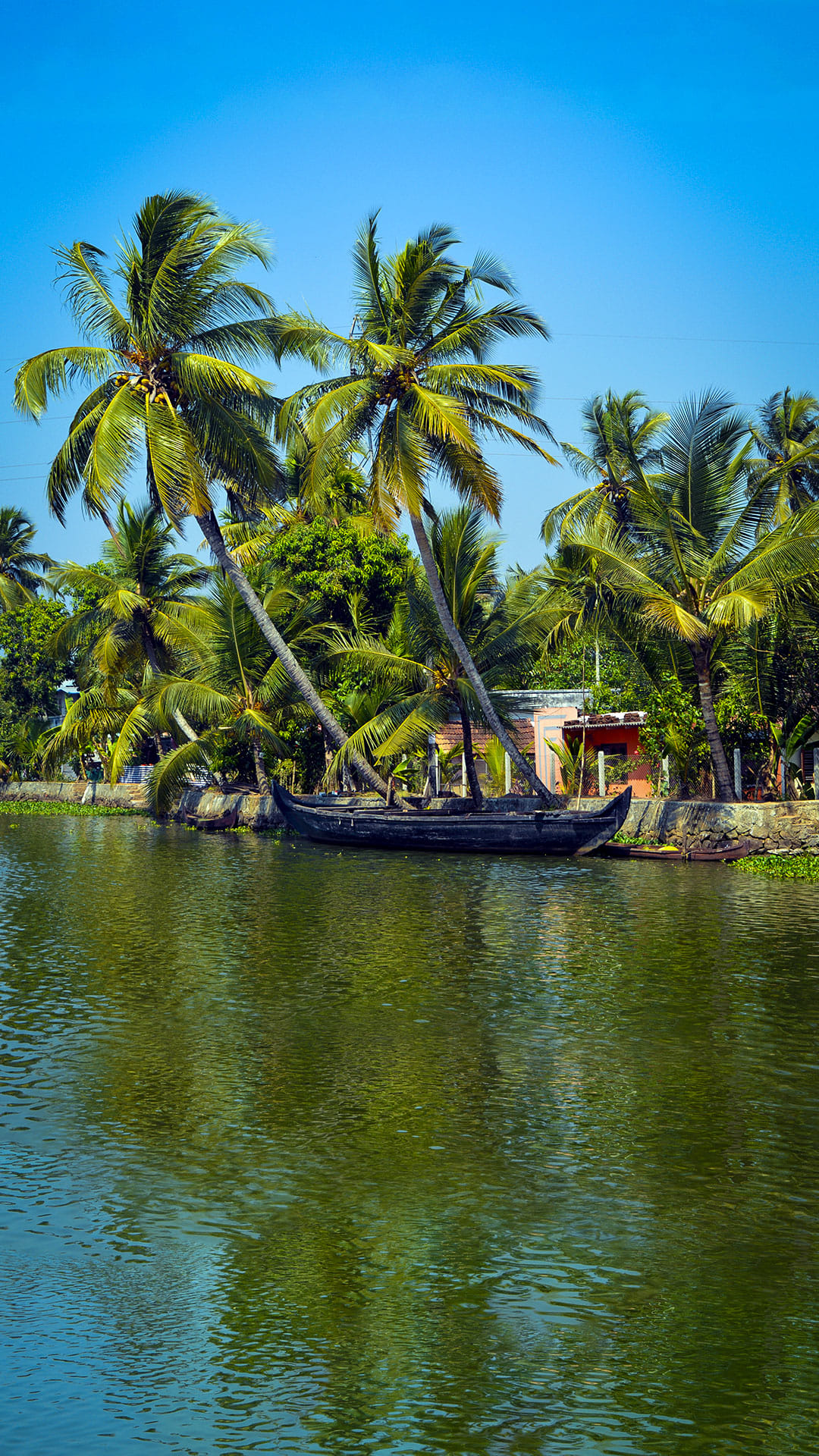 5 Days Captivating Kerala Tour Package