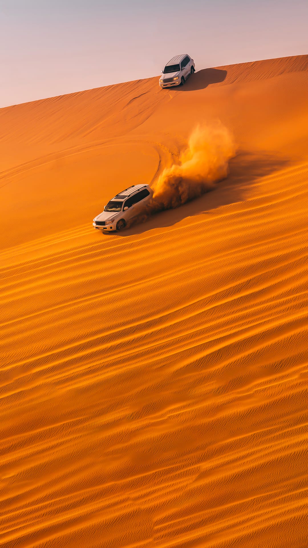 Dazzling Dubai With Desert Safari