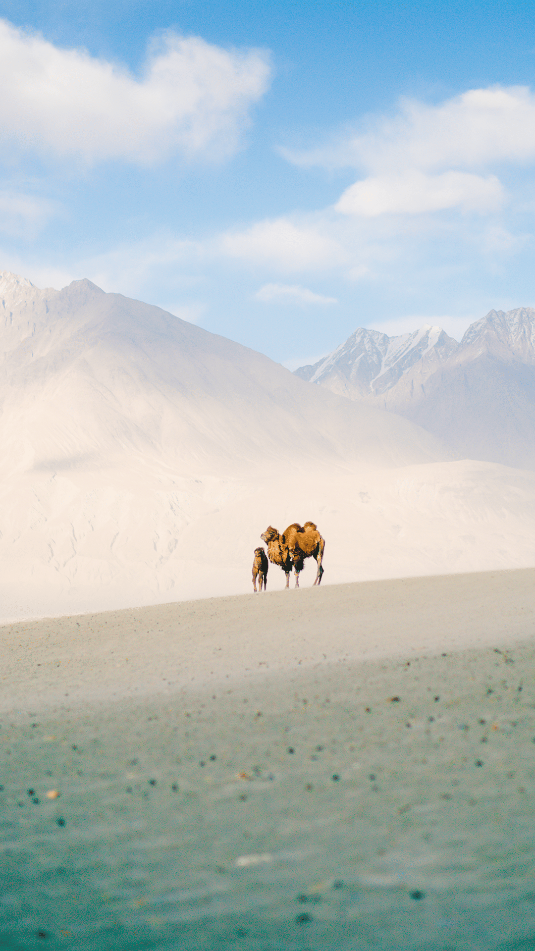 Great Lakes of Ladakh: Manali to Srinagar - 9 Days Value Expedition