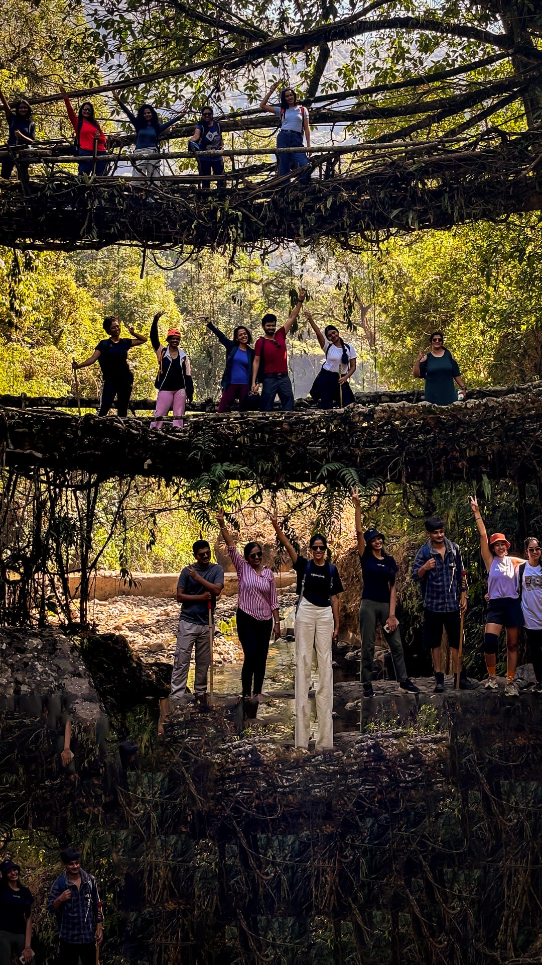 Wildlife Special - 8 Days Kaziranga Meghalaya Tour Package