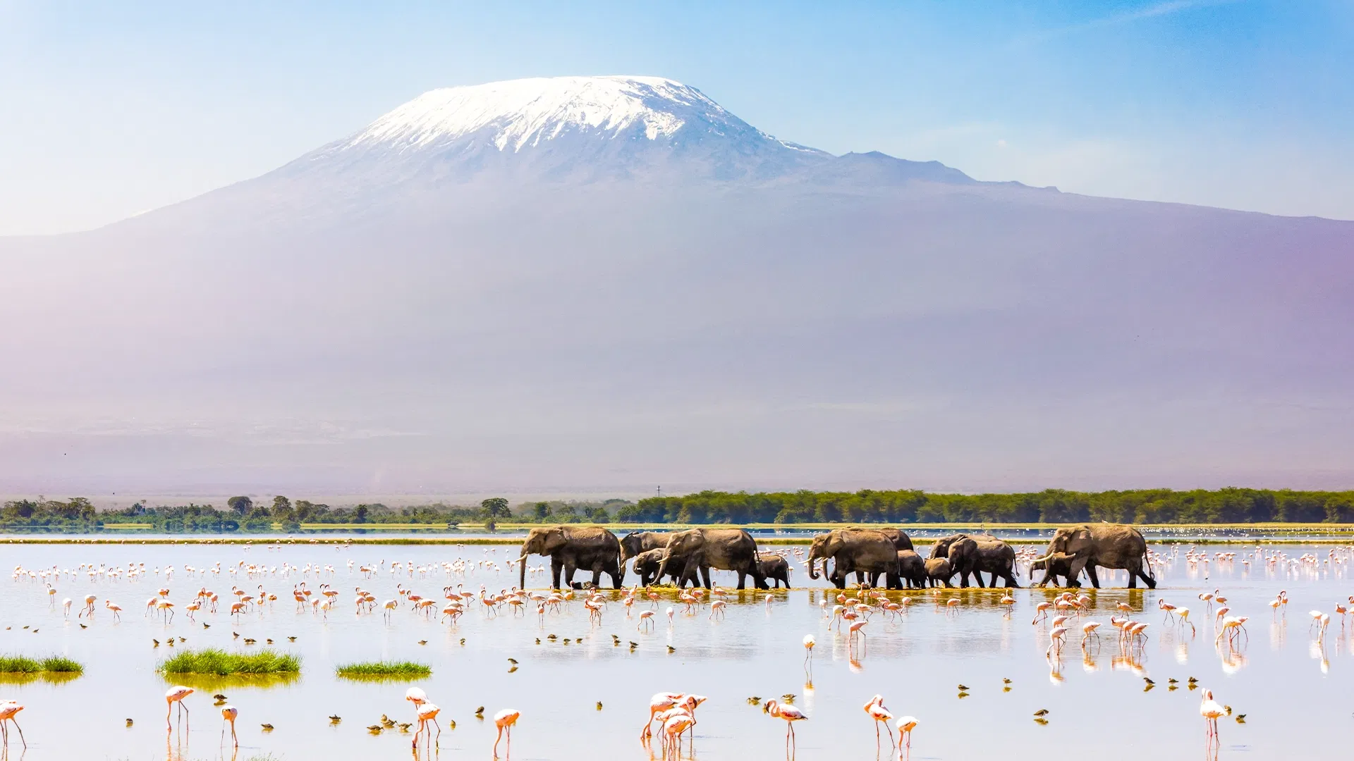 5-Day Kenya Couple Tour- Magical Safari And Balloon Ride