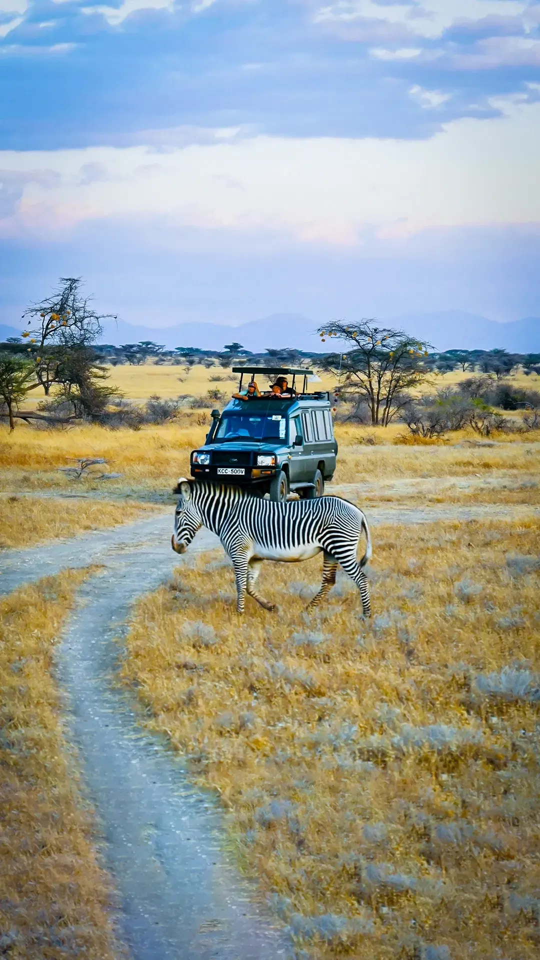 7-Day Exclusive Kenya Tour Package: Luxurious Safari Experience