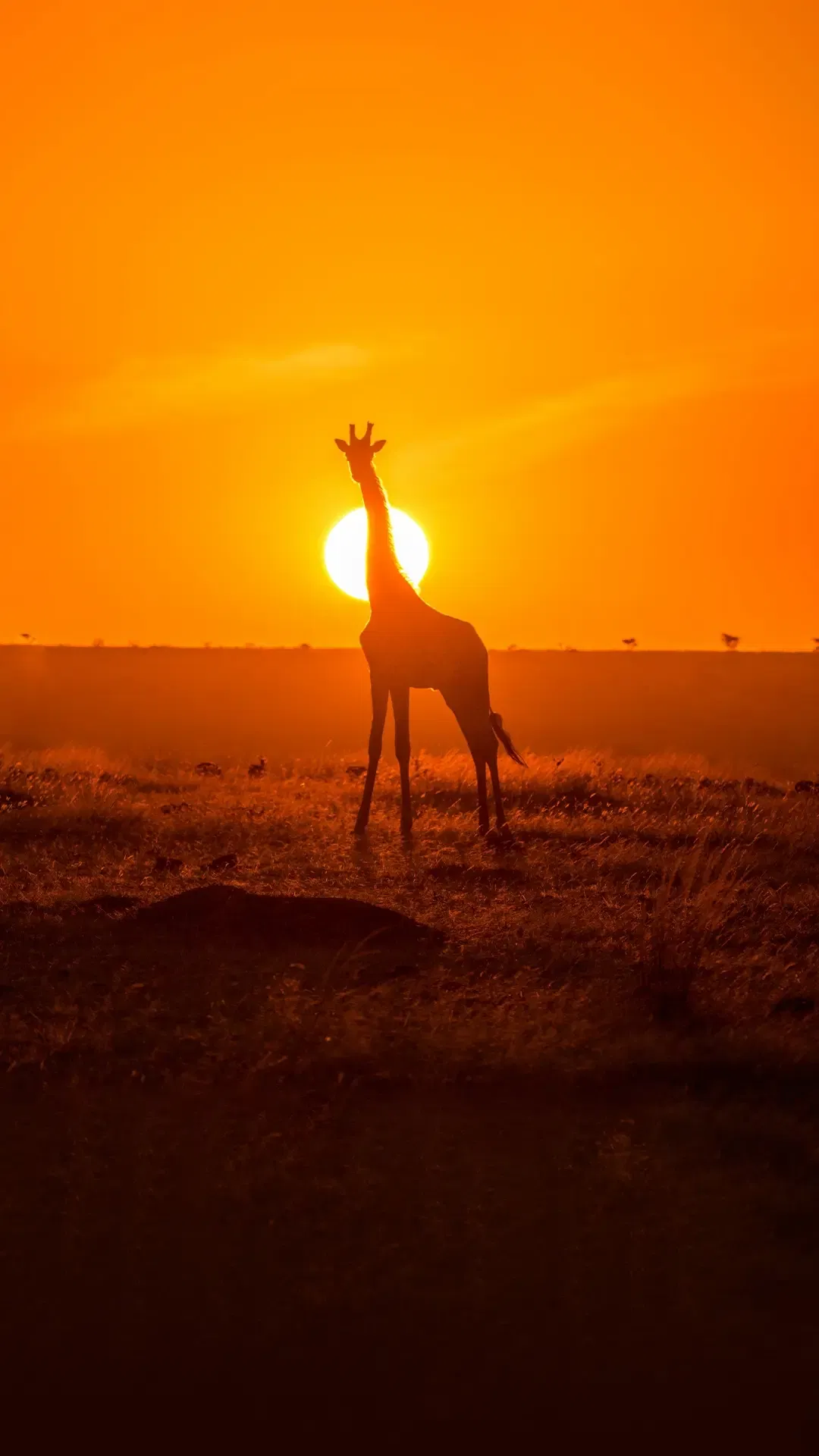 Arrive In Nairobi- Your Gateway To Kenya Tourism