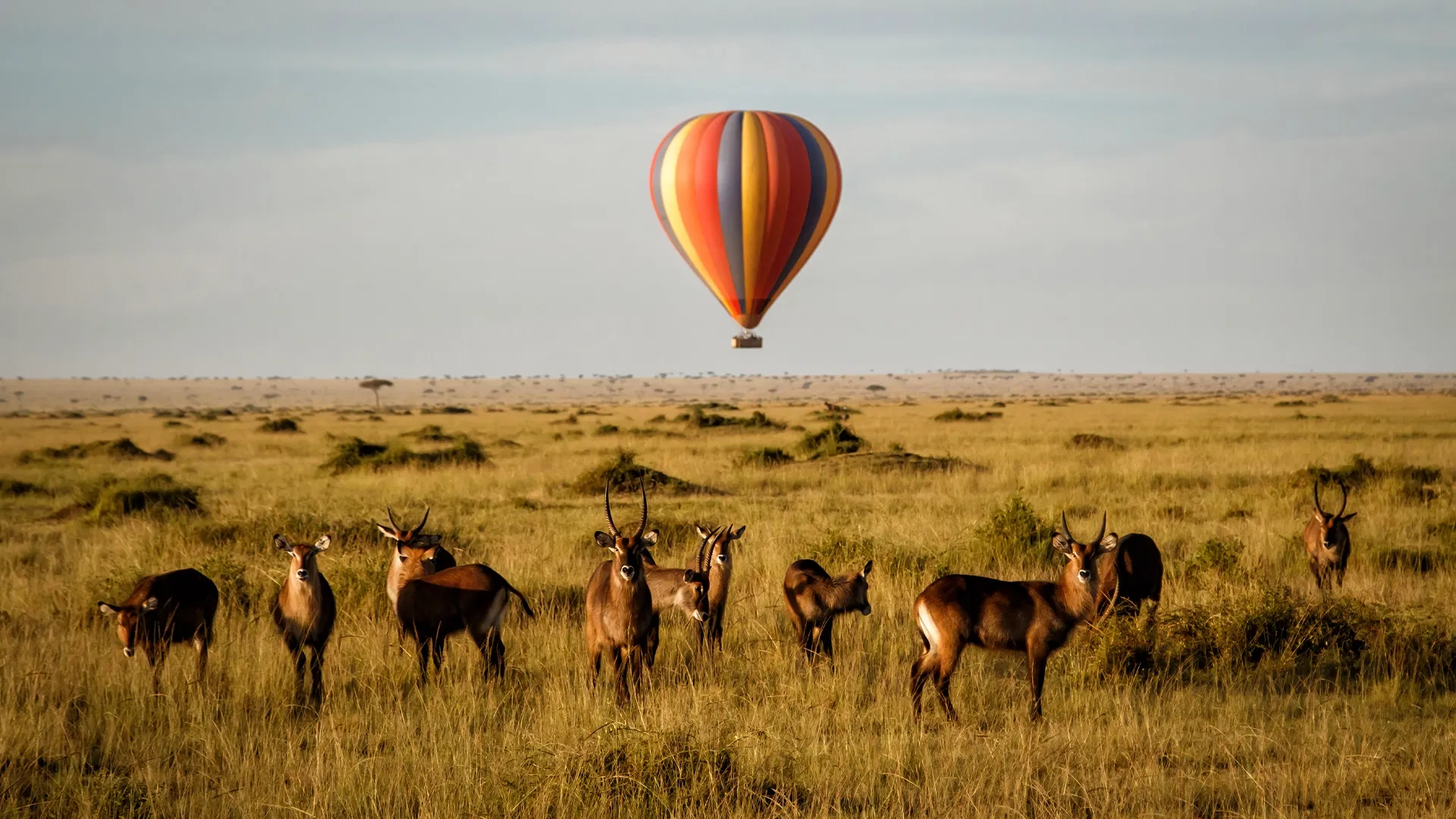 6-Day Kenya Travel Package with Masai Mara Safari and Village Tour