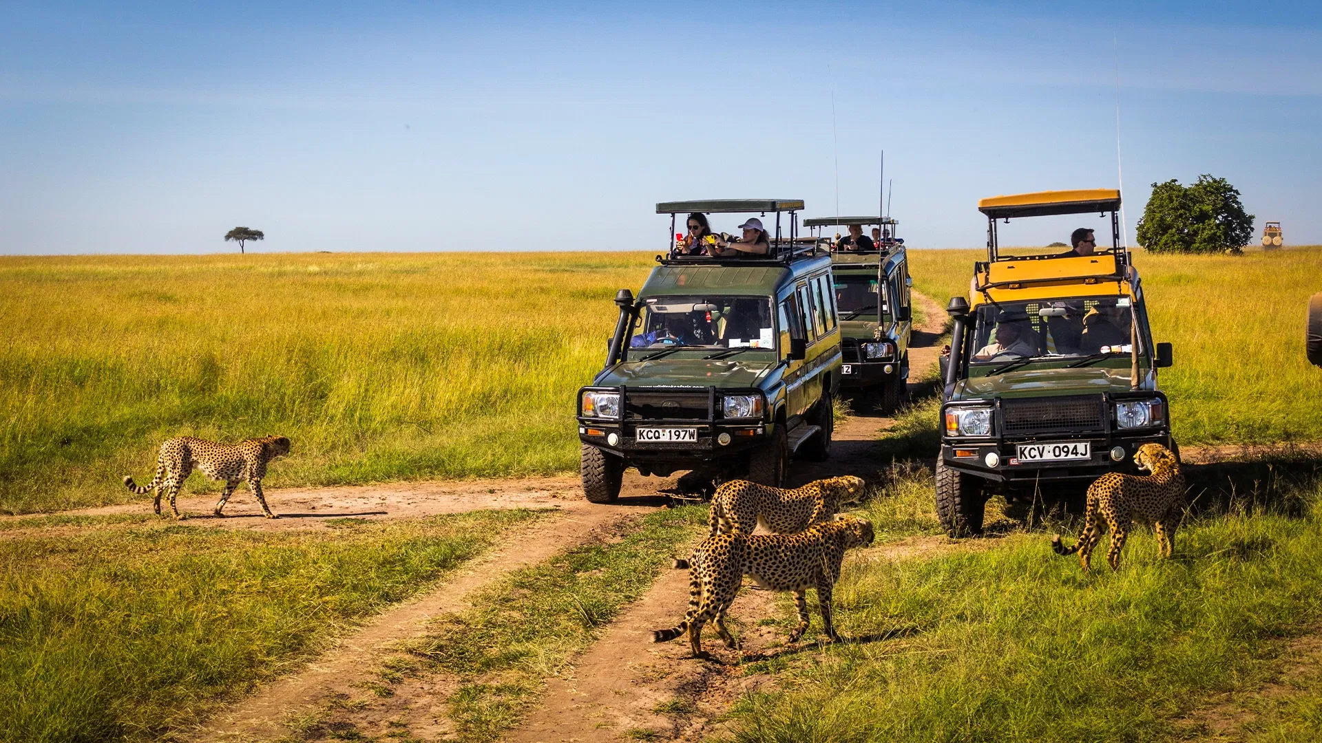 5-Day Kenya Wildlife Tour :  Discover the Best of Kenya