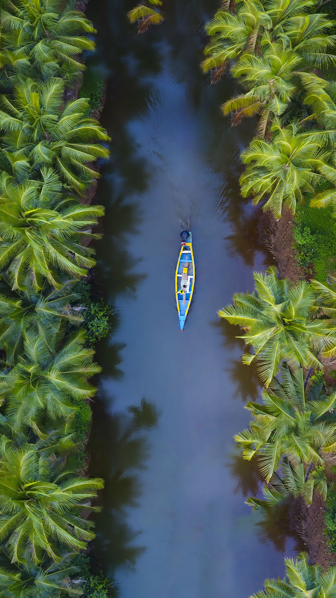 Best of God’s Own Country  - 6 Days Tour Package