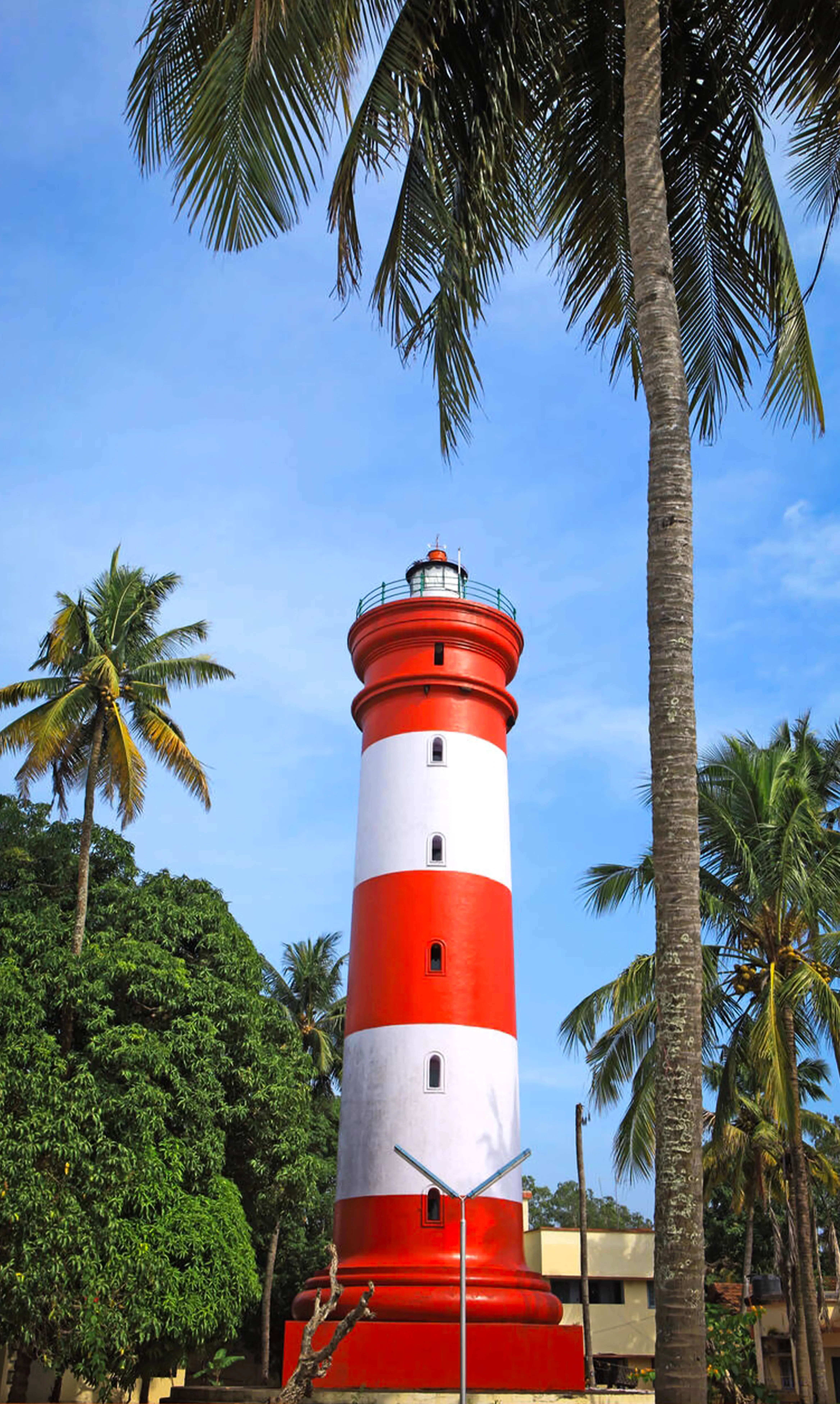 5-Day Captivating Trip to Kerala: Explore Hills & Backwaters