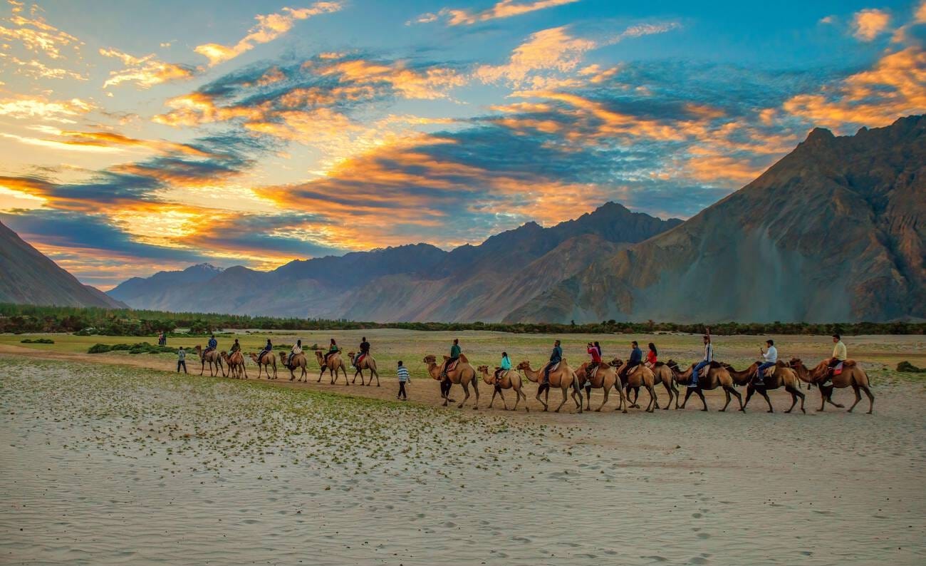 8 Days Apricot Blossom Special Trip to Ladakh