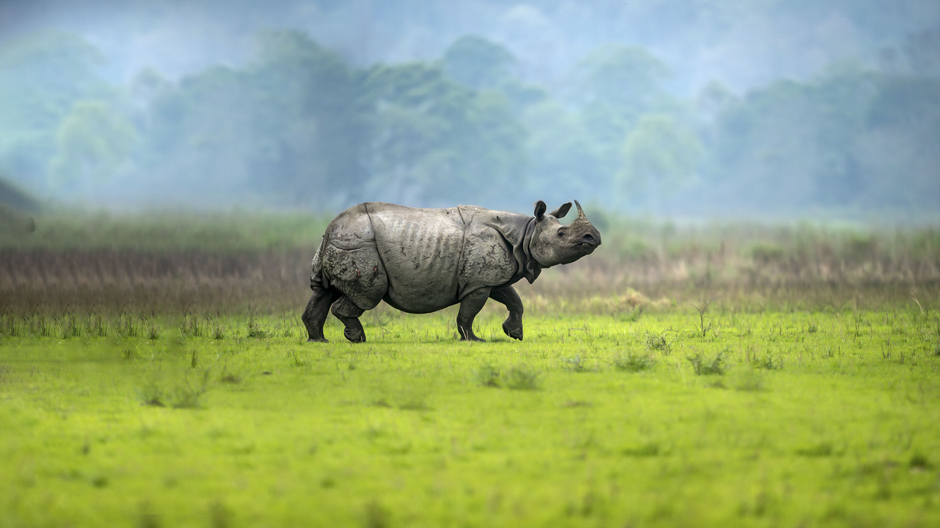 6 Days of Luxury Natural Retreat in Meghalaya