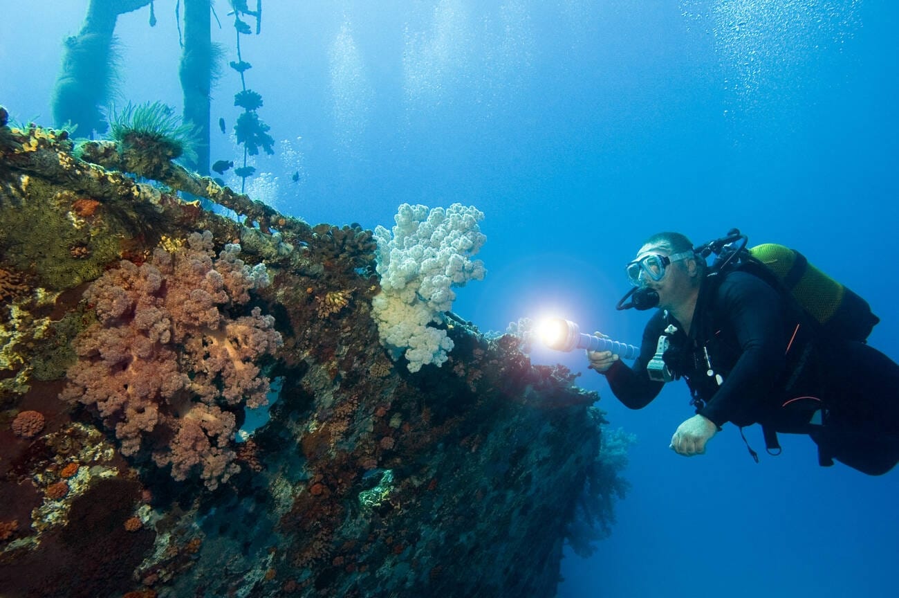 Romantic Mauritius Honeymoon: 7 Days of Island Bliss & Adventure