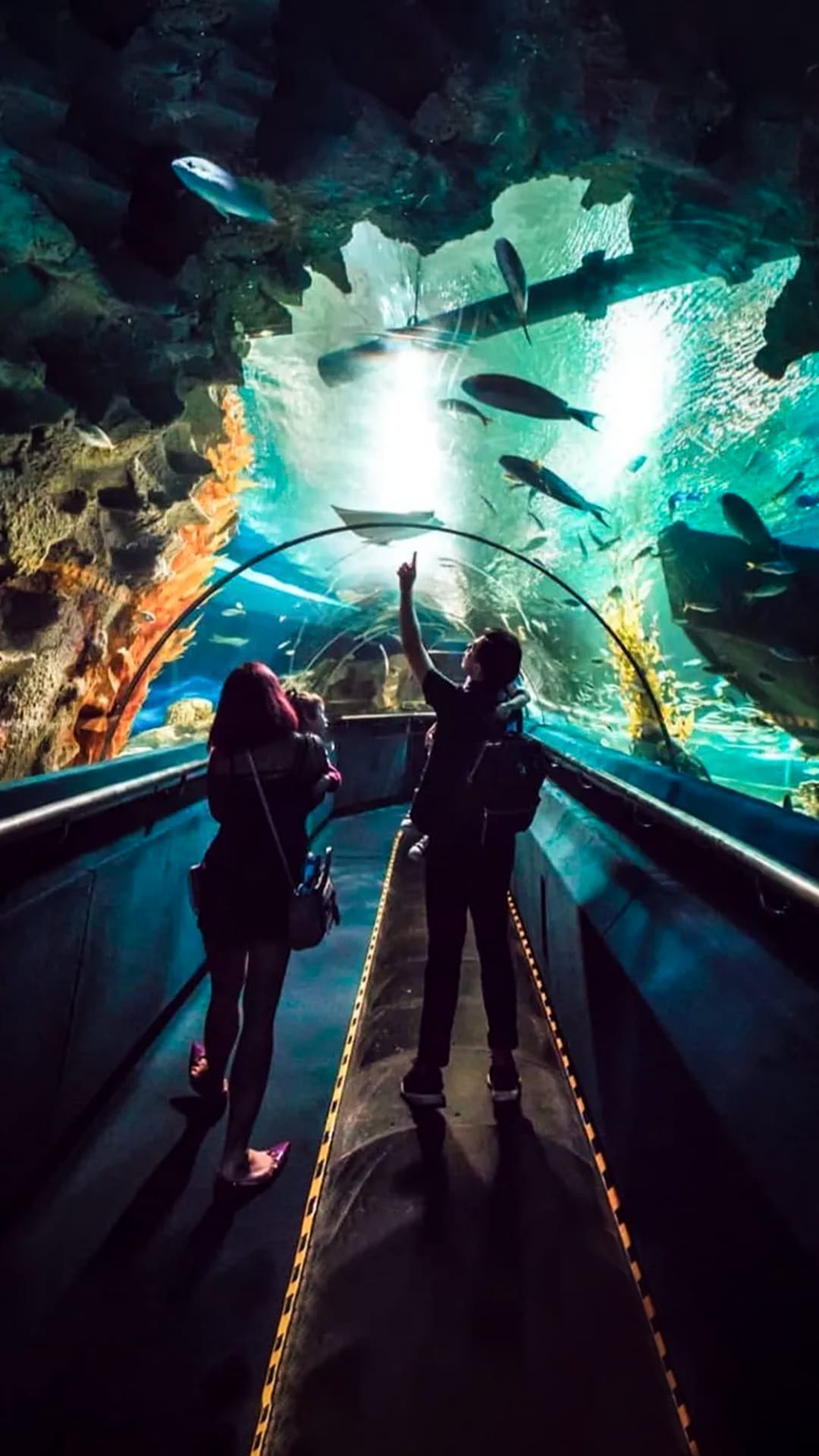 6 Days Romantic Malaysia Honeymoon Tour Package