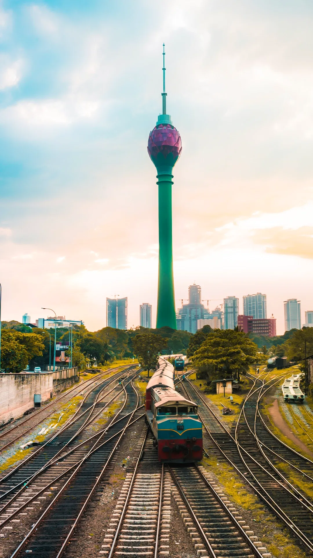 Arrival At Colombo. Transfers To Kandy Via Pinnawala Elephant Orphanage
