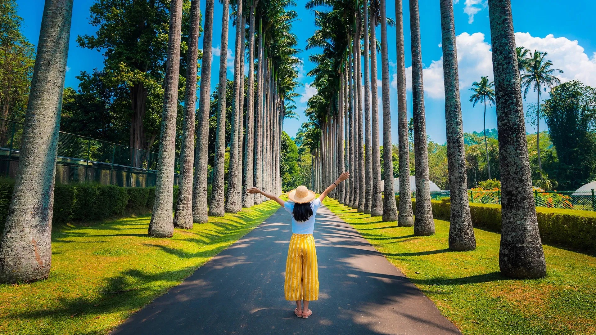 Arrival at Colombo Airport. Transfers To Bentota. Turtle Hatchery, Mangrove Boat Ride.