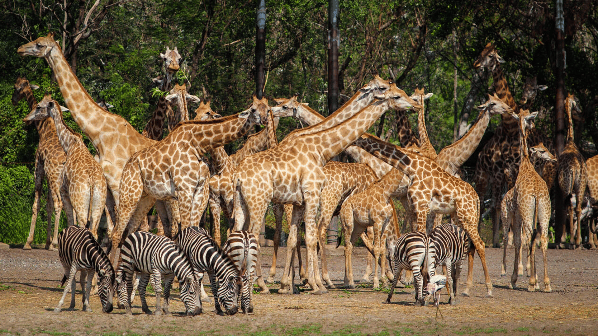 7 Days Tropical Thailand Tour Package with Phuket and Krabi