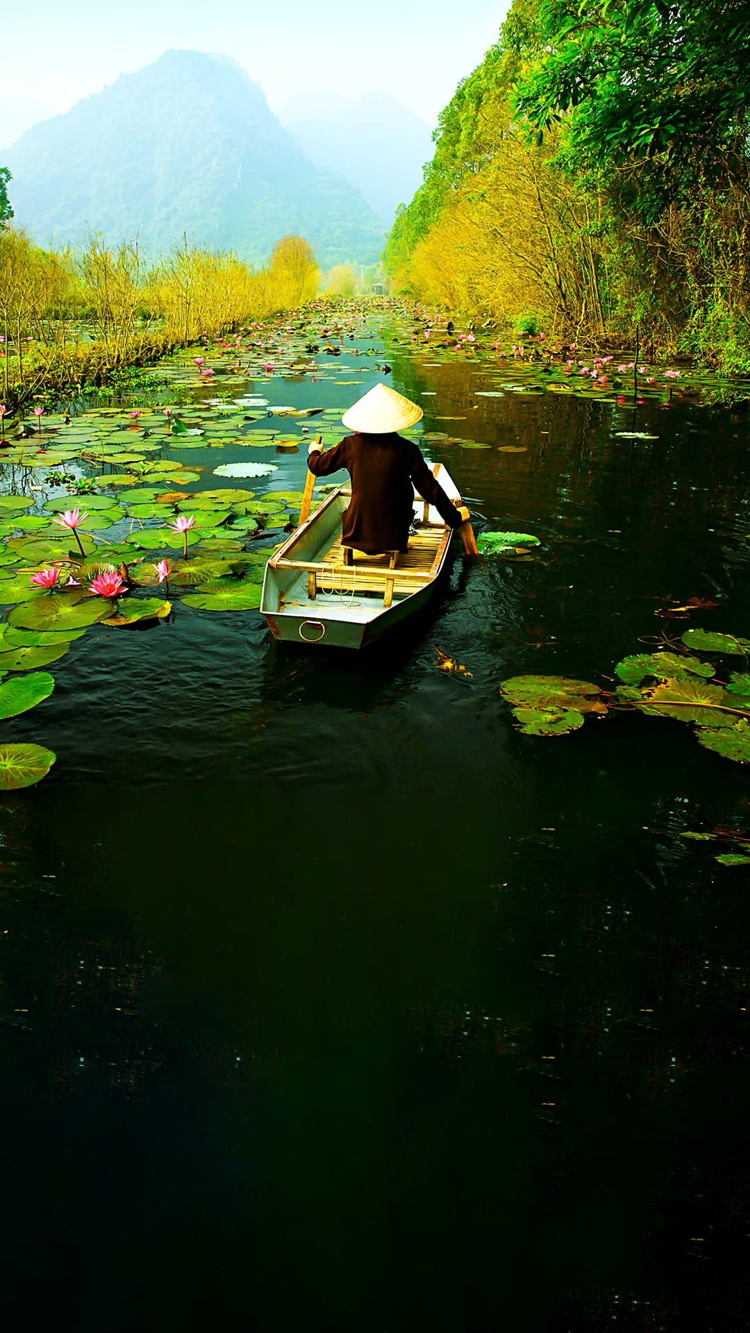 7 Days Vietnam Tour Package | Hanoi, Ha Long Bay & Da Nang