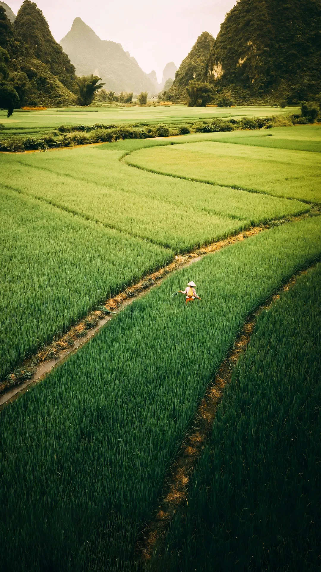 8 Days Vietnam Group Tour with Flights from Delhi