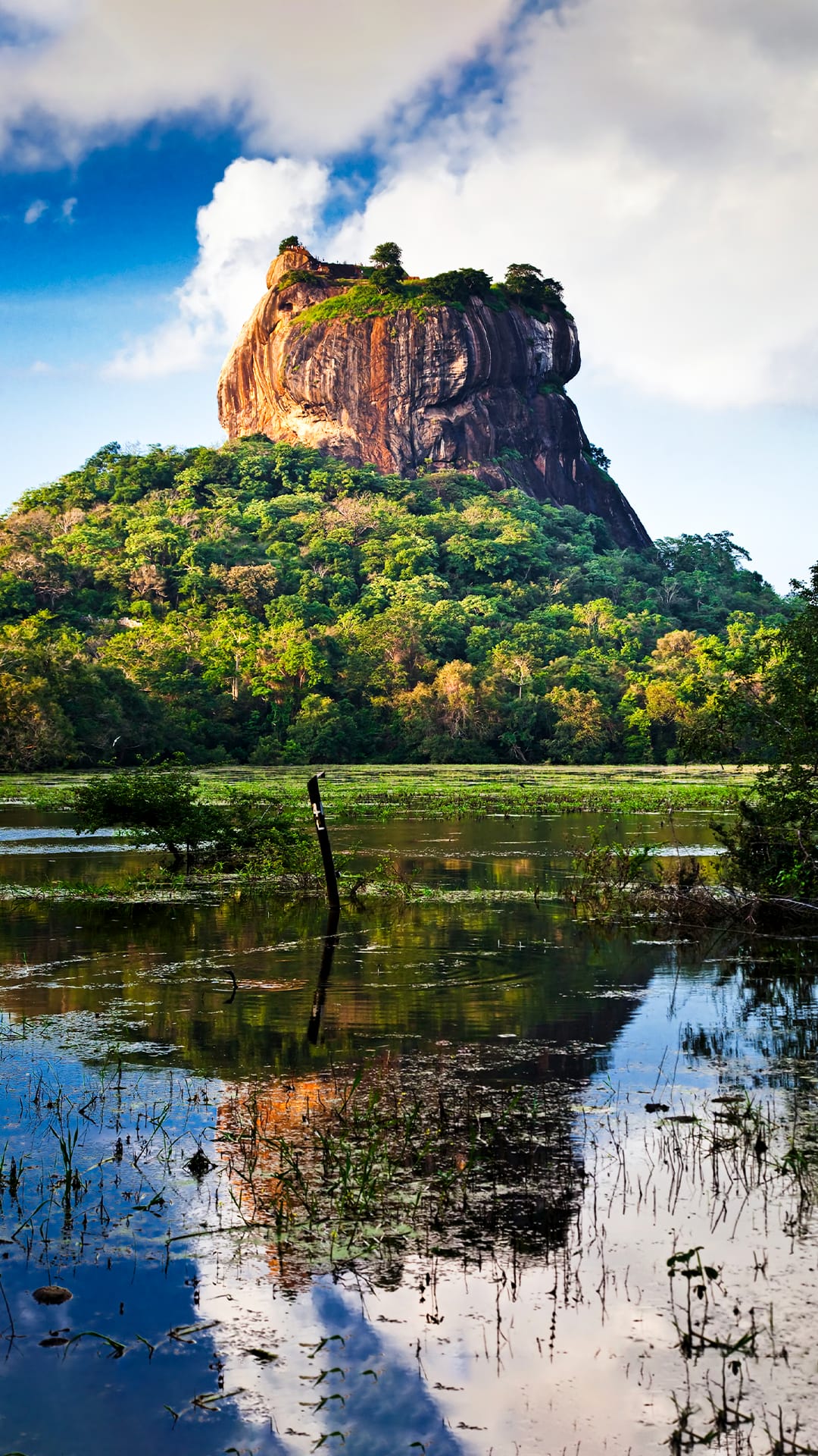 Wonders of Sri Lanka - 8 Days Sri Lanka Tour Package
