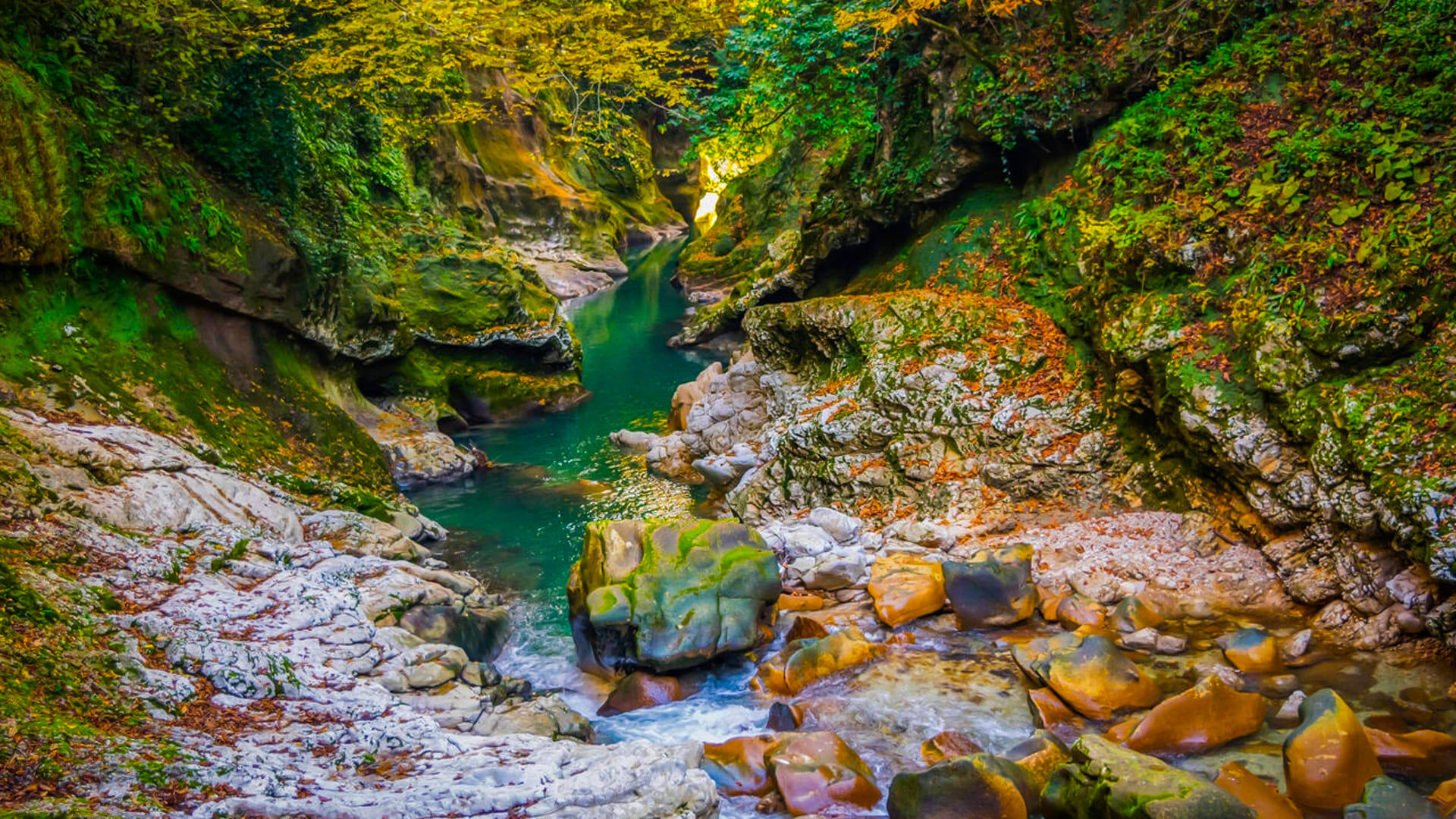 Wonders of Tbilisi and Batumi: 6 Days Georgia Tour Package