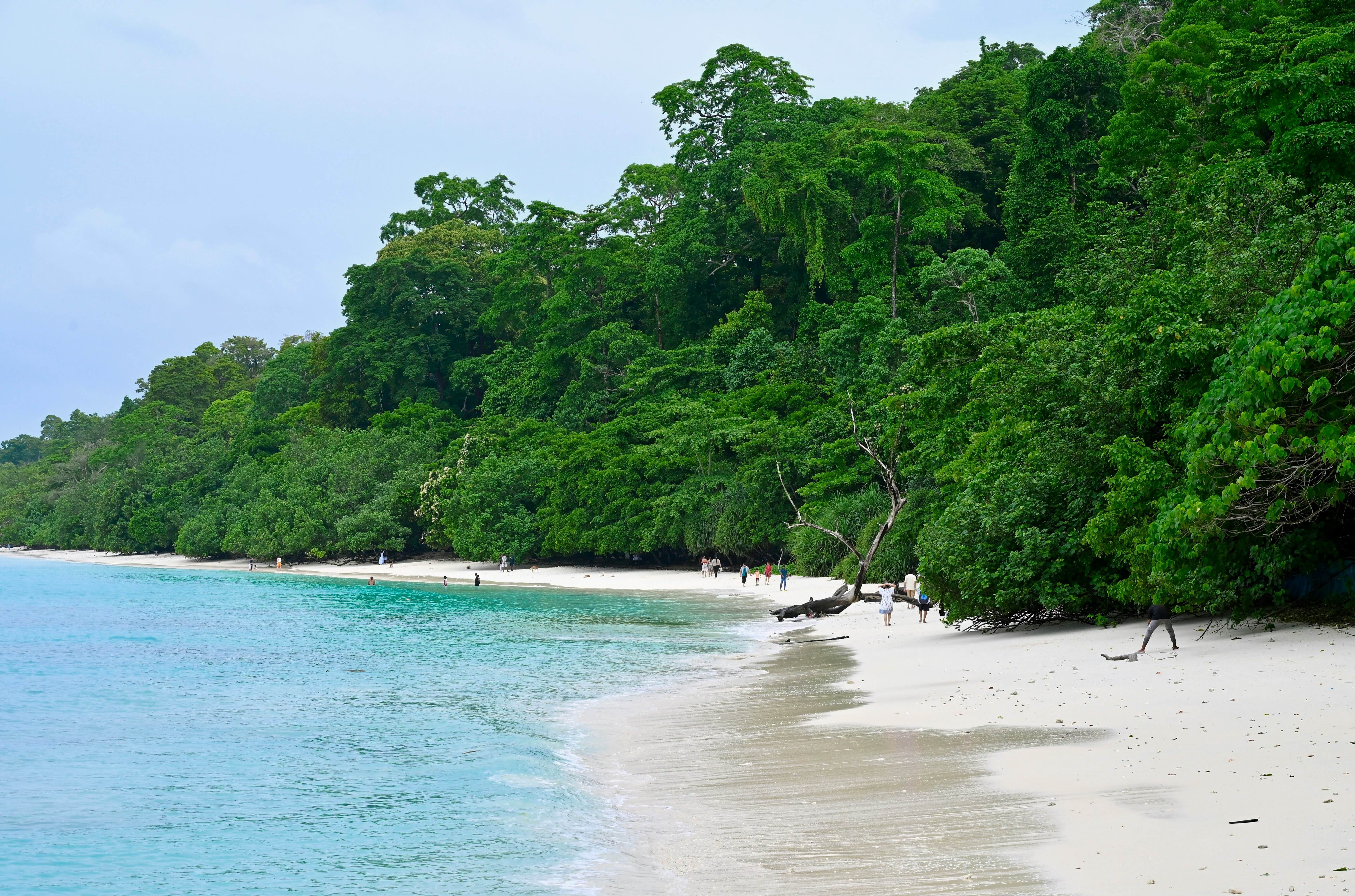 Romantic Island Vacation to the Exotic Andaman Islands