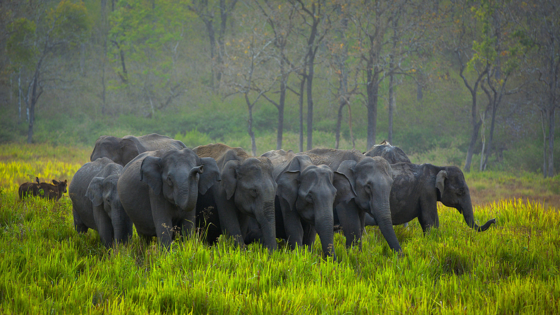 4 Days Best Kerala Tour Package