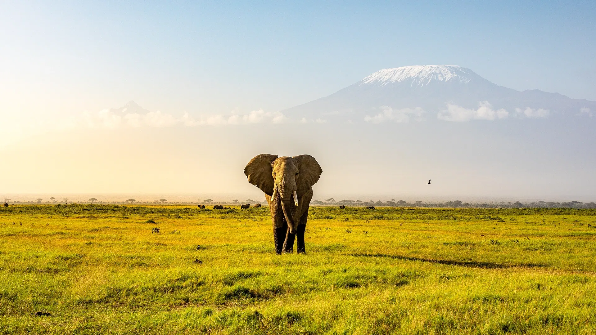 5-Day Kenya Wildlife Tour : Discover the Best of Kenya