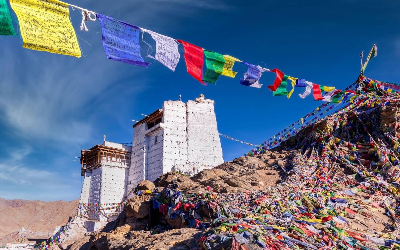 7 Days Thrilling Ladakh Tour with Umling La - SUV Edition