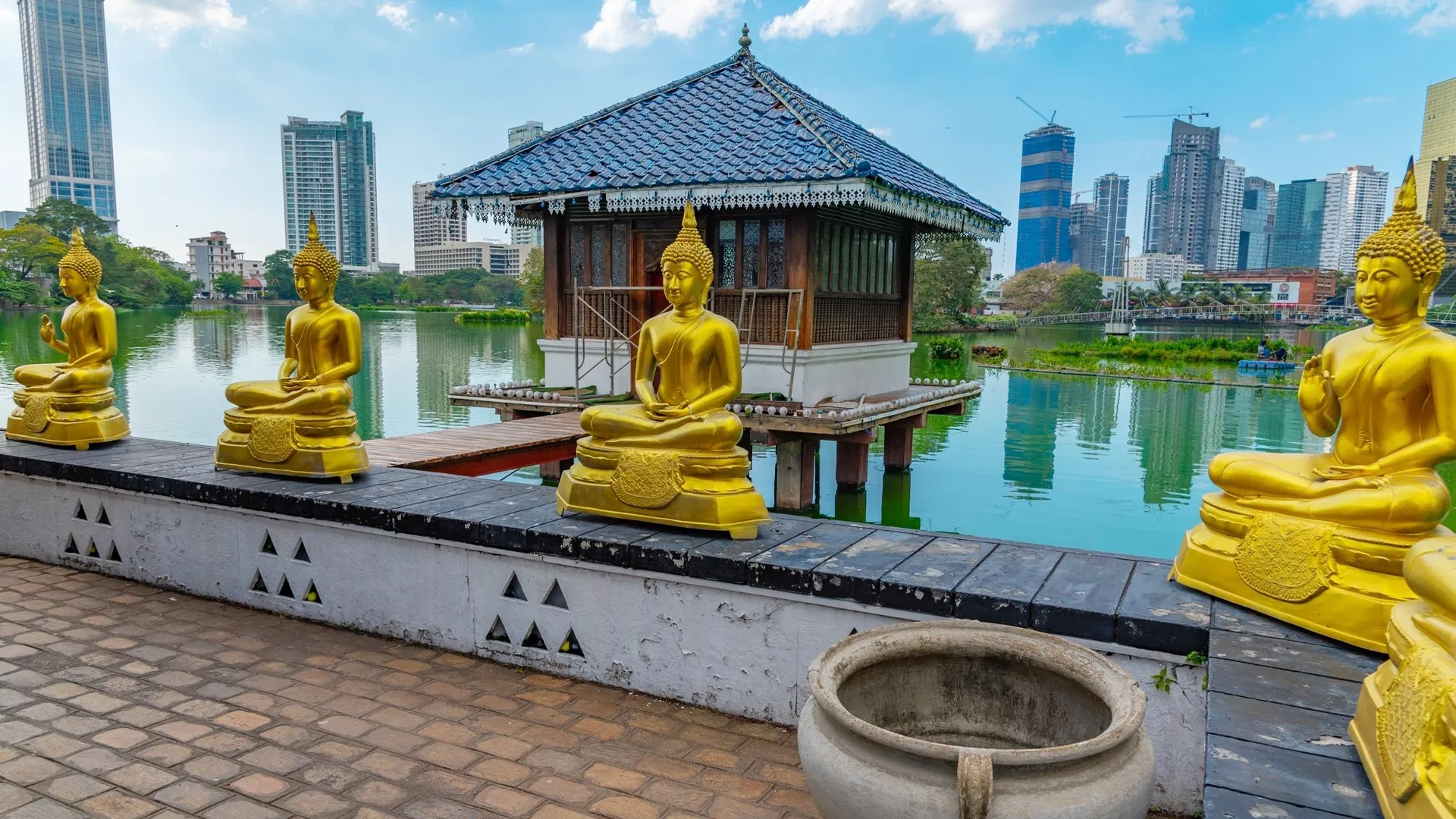 Explore Sri Lanka in 8 Days - WanderOn Community Trip